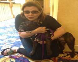 The actress also had a French Bulldog named Gary w The actress also had a French Bulldog named Gary who accompanied her in various appearances and interview. Now her daughter takes care of the dog afte